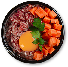 ����Ÿ��Ÿ������ �������ǰ���